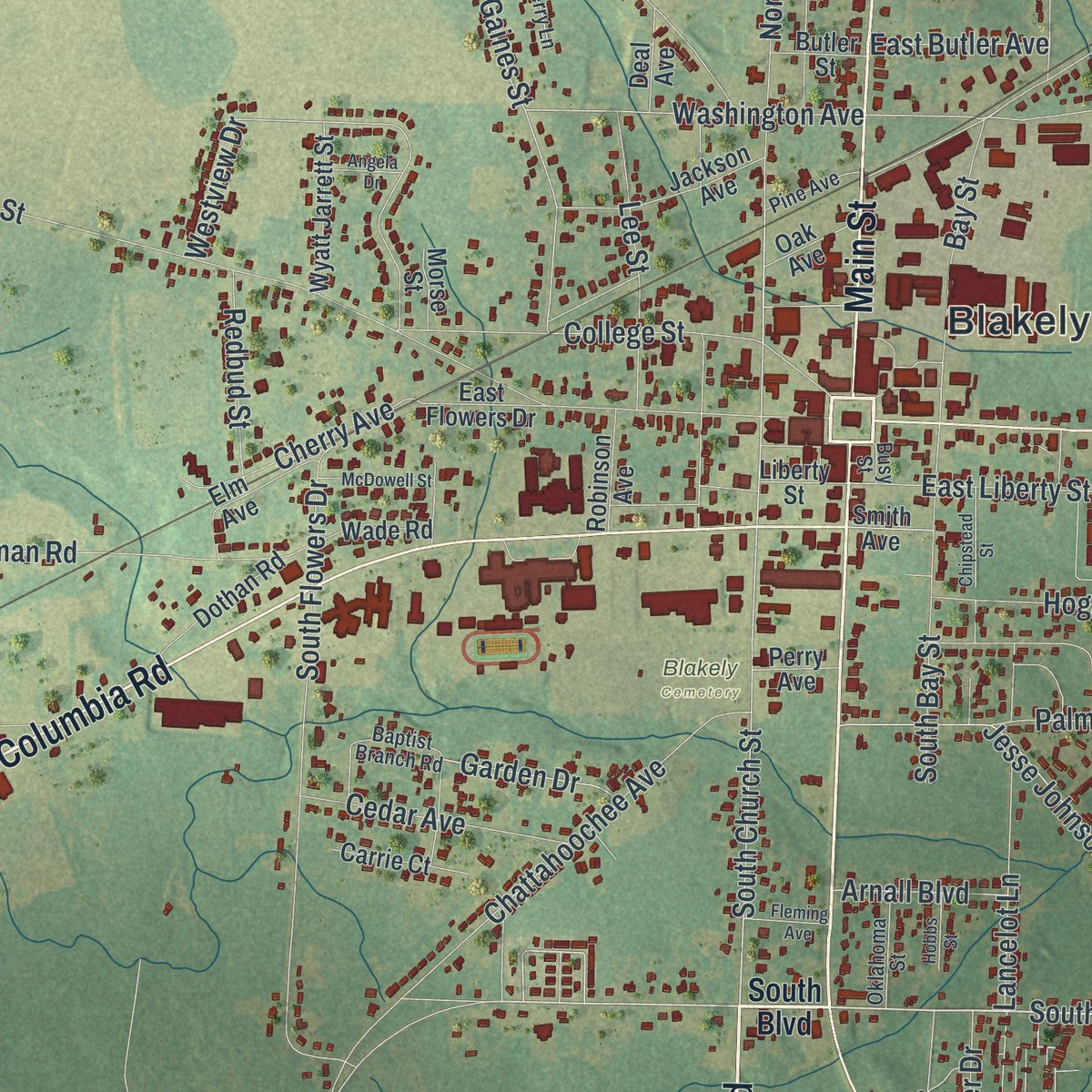 Close-up 1 of the Blakely, Georgia map artwork