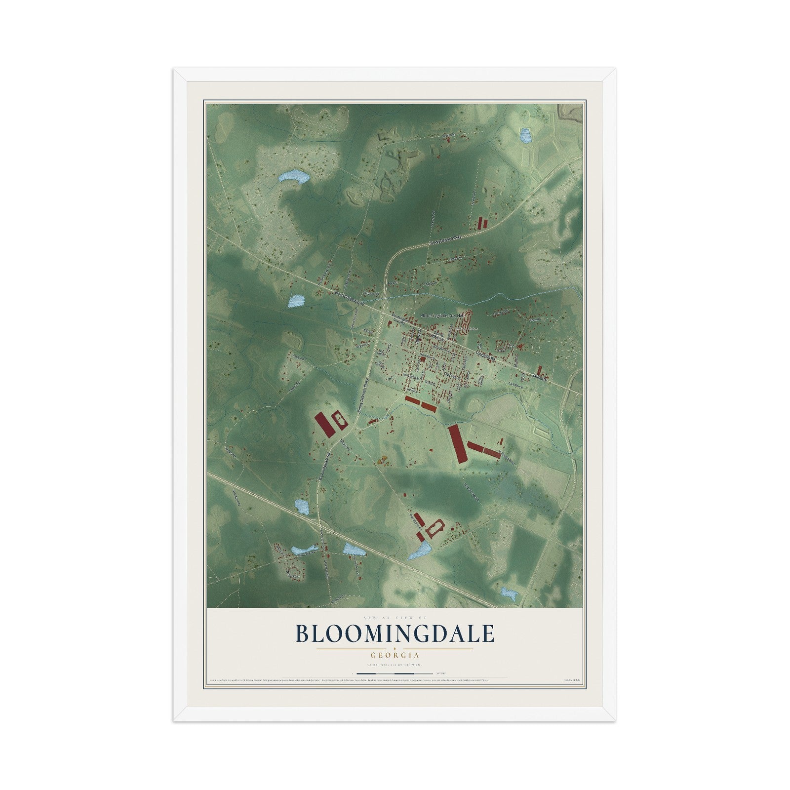 Bloomingdale, Georgia map print, 12" x 18" W/ White Ayous Wood Frame mockup
