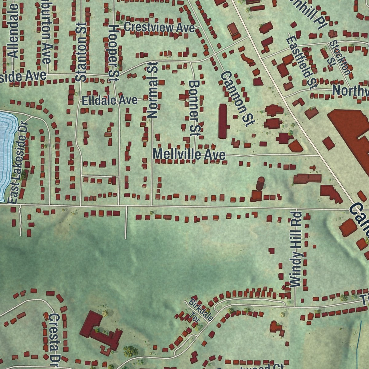 Close-up 2 of the Candler-McAfee, Georgia map artwork