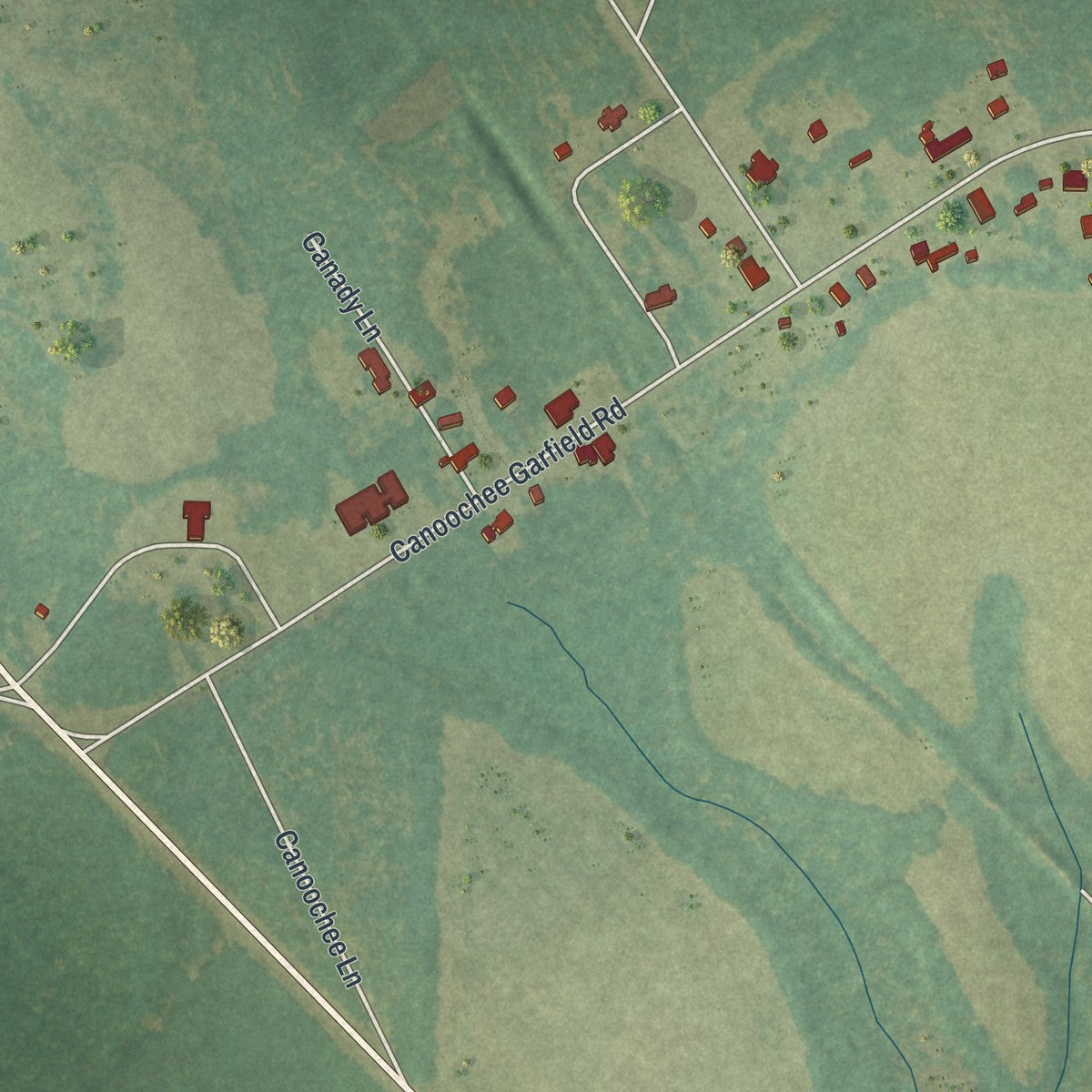 Close-up of the map of Canoochee, Georgia print showing street and building detail