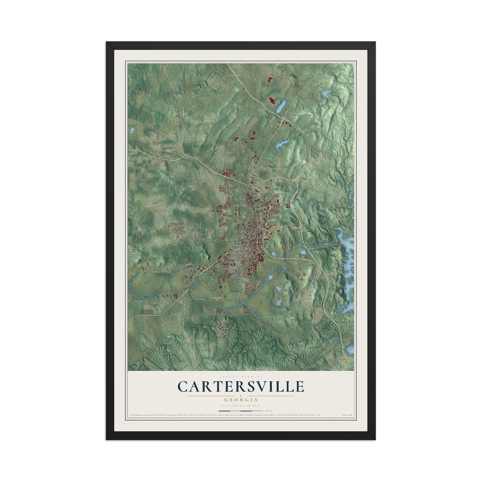 Cartersville, Georgia map print, 12" x 18" W/ Black Ayous Wood Frame mockup