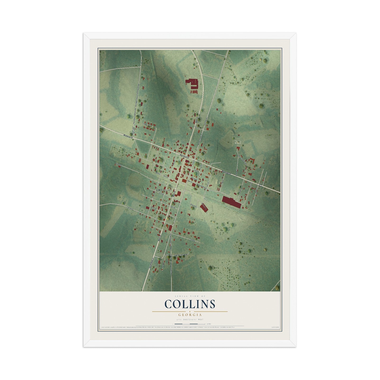 Collins, Georgia map print, 12" x 18" W/ White Ayous Wood Frame mockup