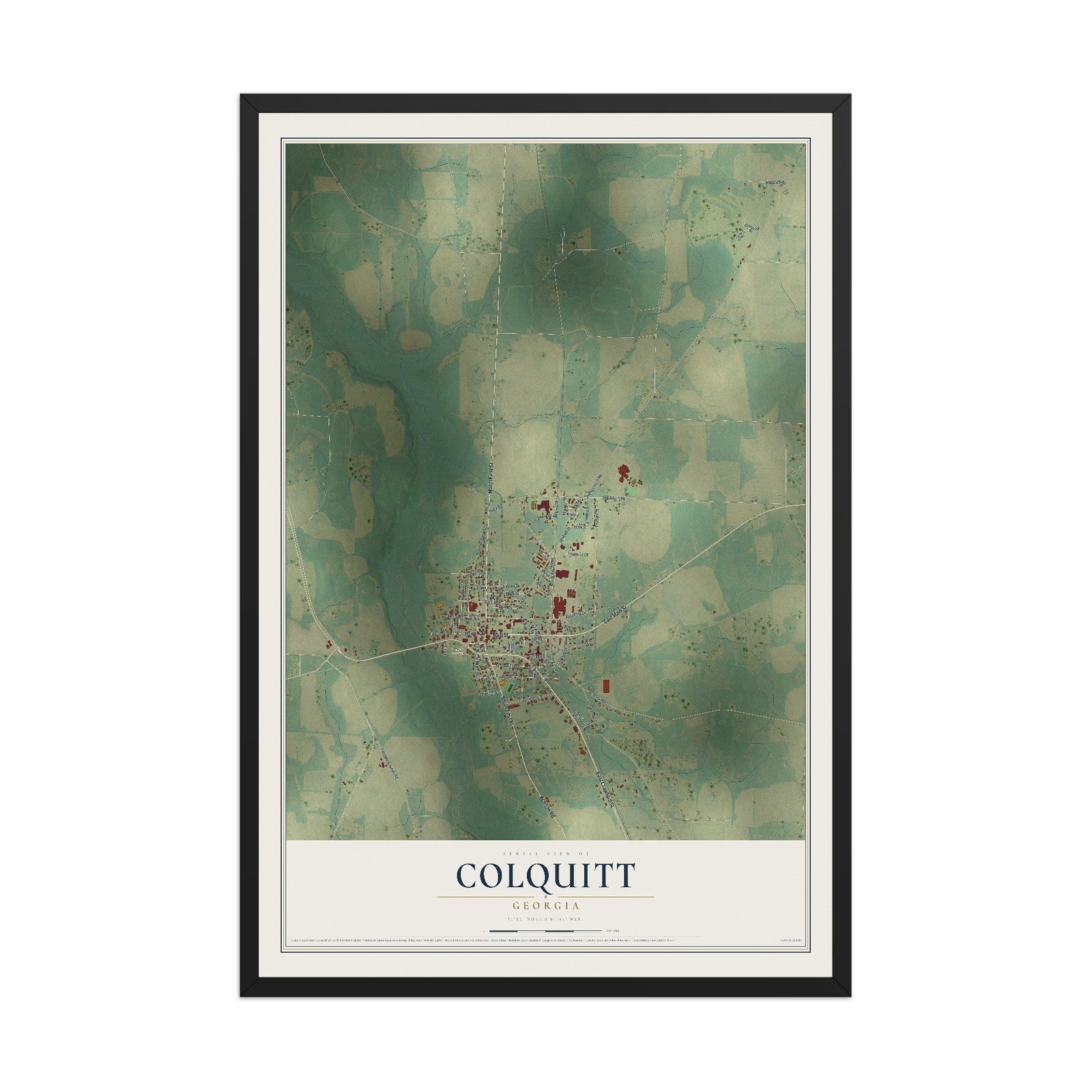Colquitt, Georgia map print, 12" x 18" W/ Black Ayous Wood Frame mockup