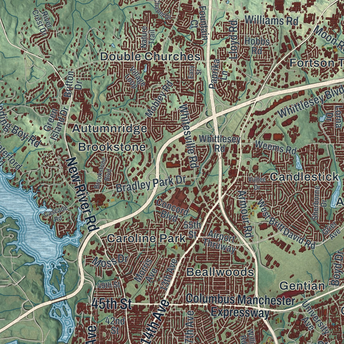 Close-up 1 of the Columbus, Georgia map artwork