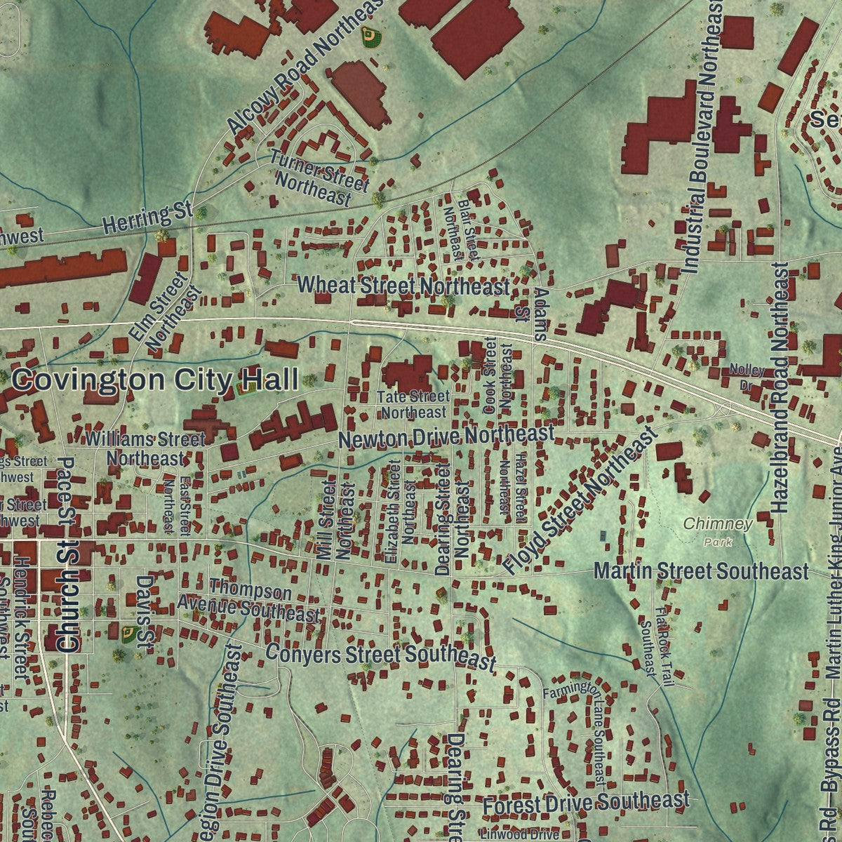 Close-up 1 of the Covington, Georgia map artwork