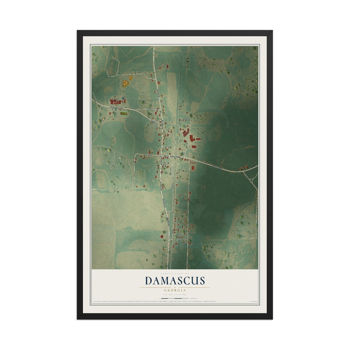 Damascus, Georgia map print, 12" x 18" W/ Black Ayous Wood Frame mockup