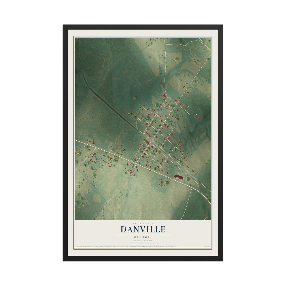 Danville, Georgia map print, 12" x 18" W/ Black Ayous Wood Frame mockup