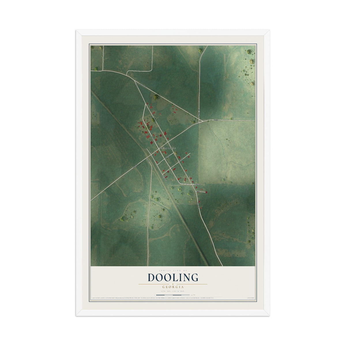 Dooling, Georgia map print, 12" x 18" W/ White Ayous Wood Frame mockup