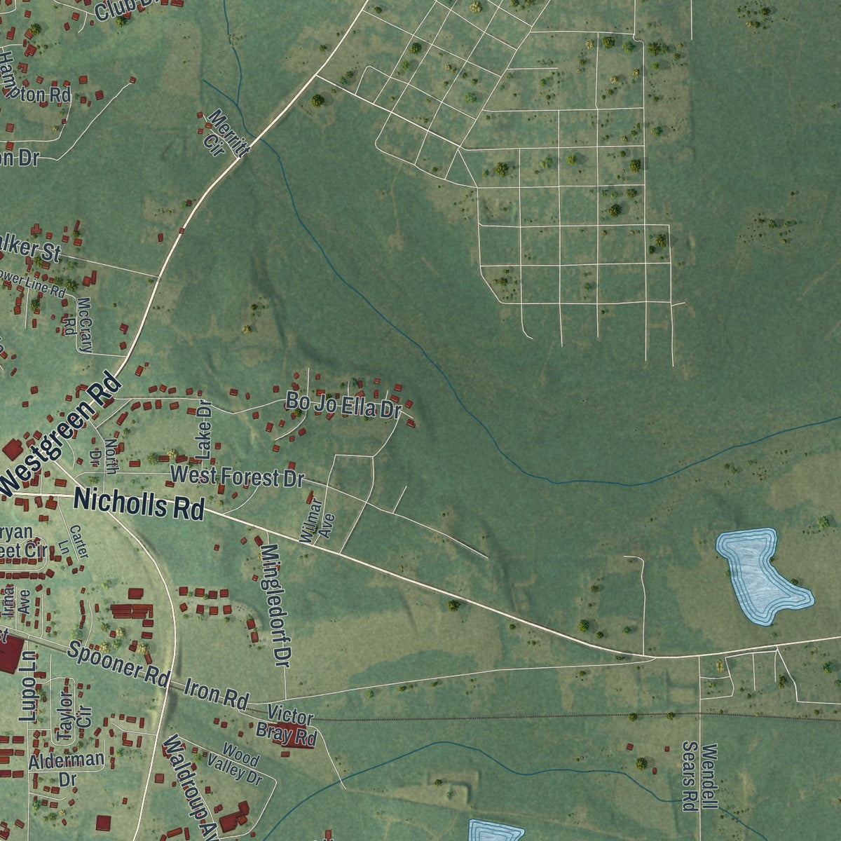Close-up 2 of the Douglas, Georgia map artwork