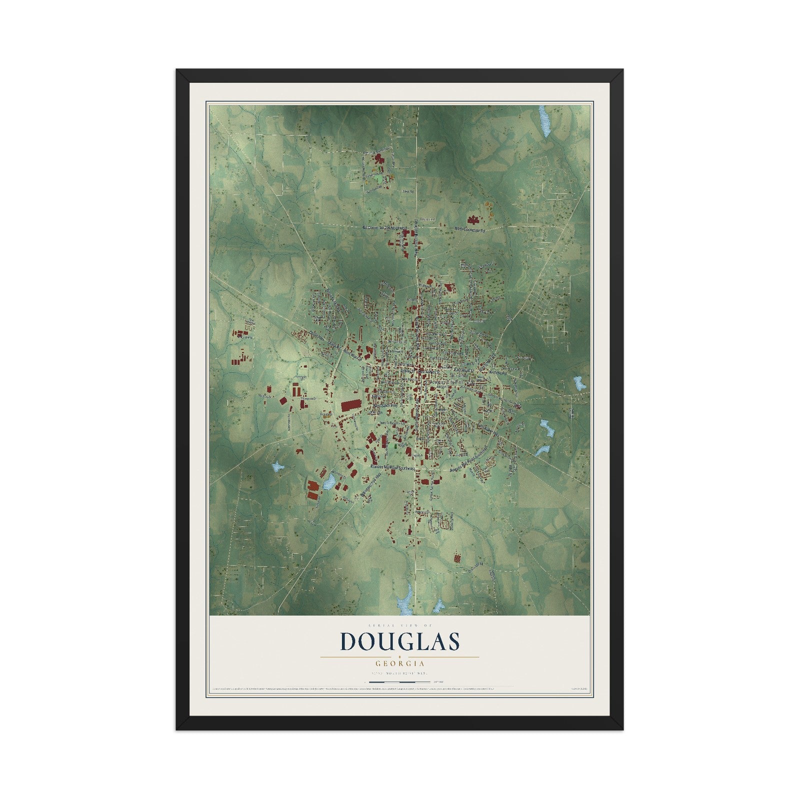Douglas, Georgia map print, 12" x 18" W/ Black Ayous Wood Frame mockup