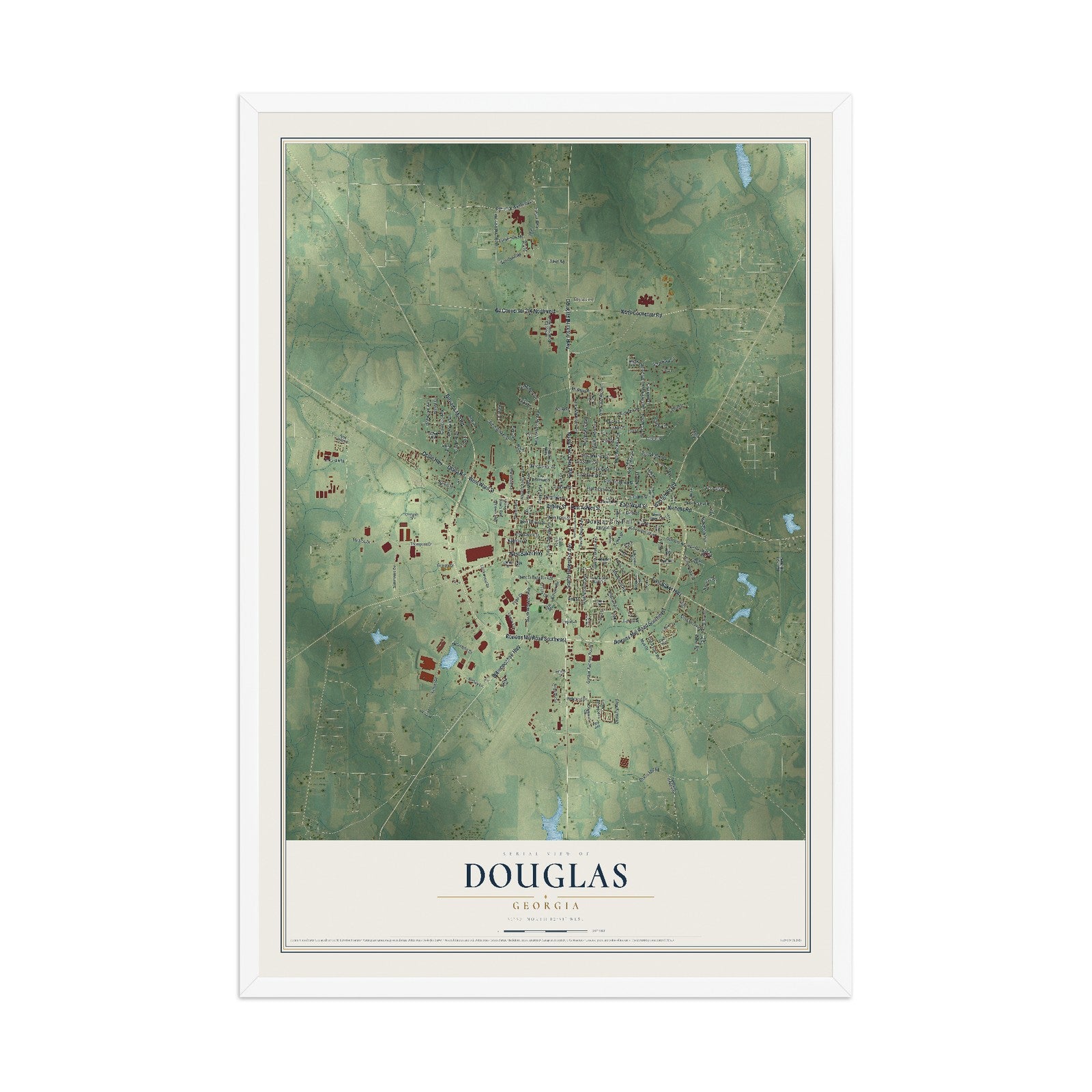 Douglas, Georgia map print, 12" x 18" W/ White Ayous Wood Frame mockup