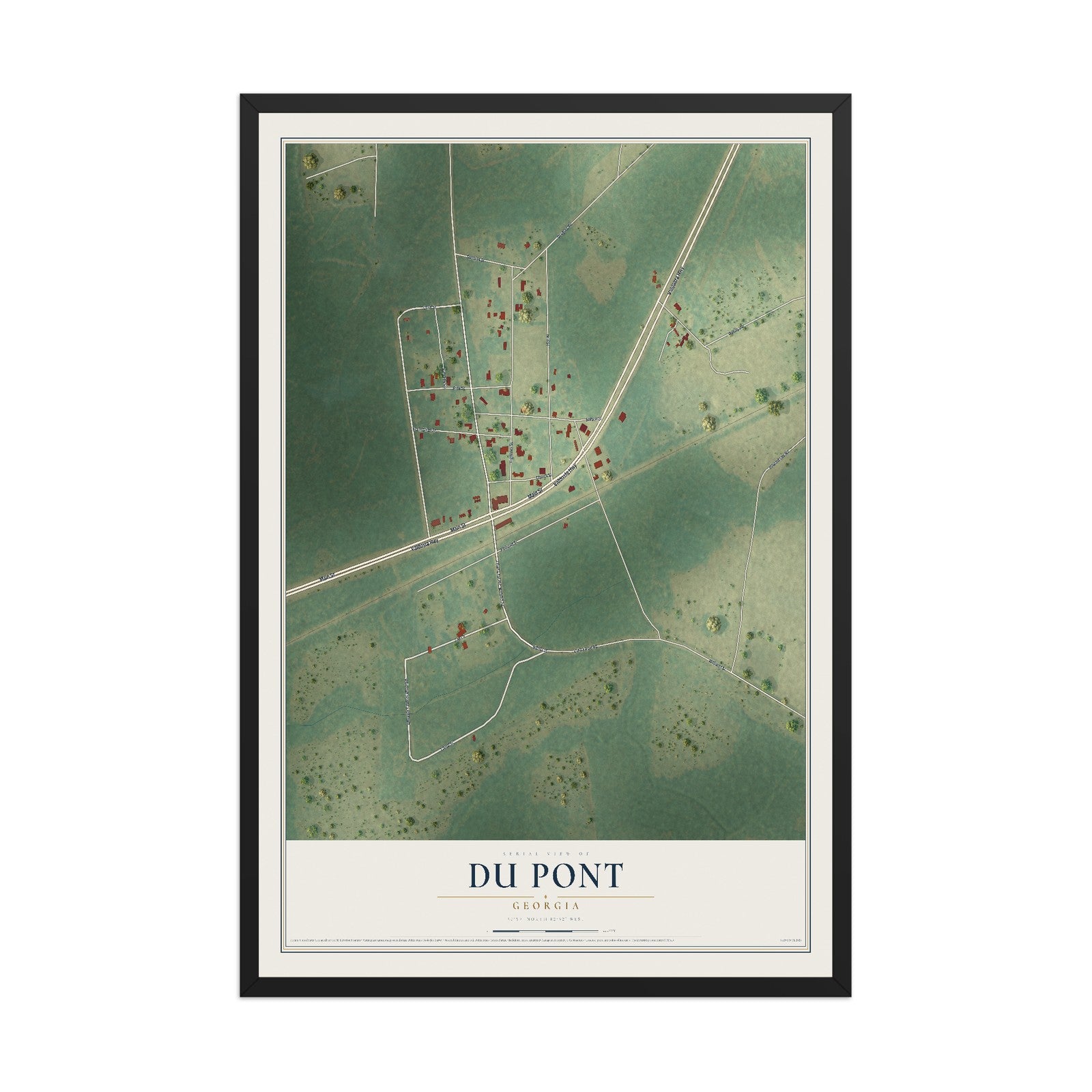 Du Pont, Georgia map print, 12" x 18" W/ Black Ayous Wood Frame mockup