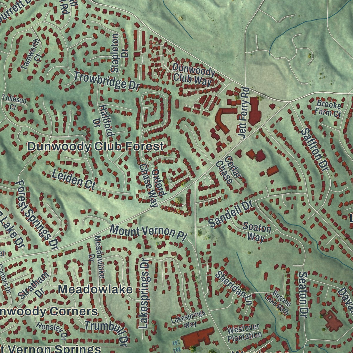 Close-up 2 of the Dunwoody, Georgia map artwork