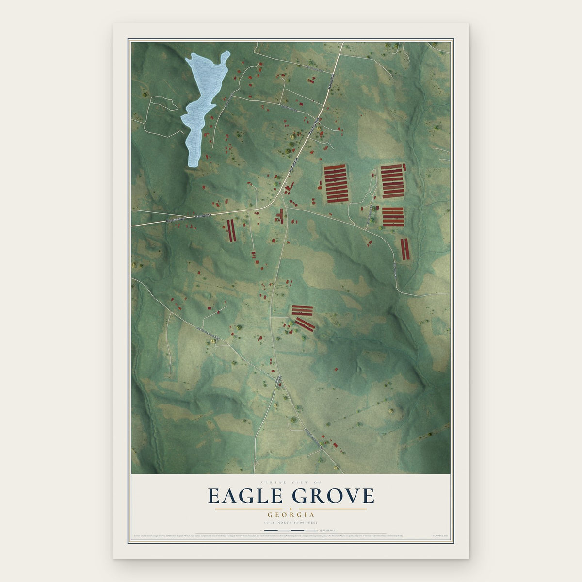 Eagle Grove, Georgia map print, the full design