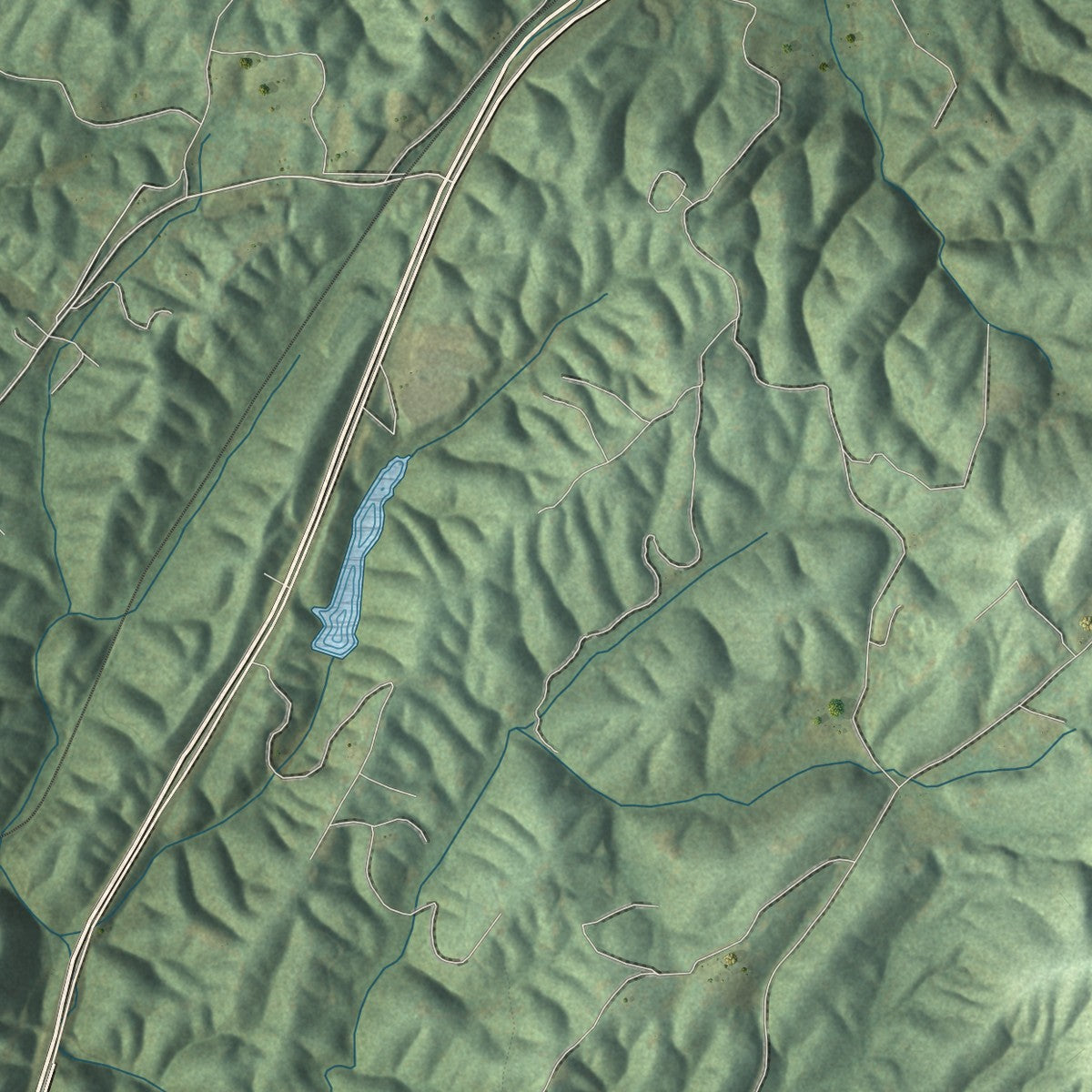 Close-up 2 of the Ellijay, Georgia map artwork