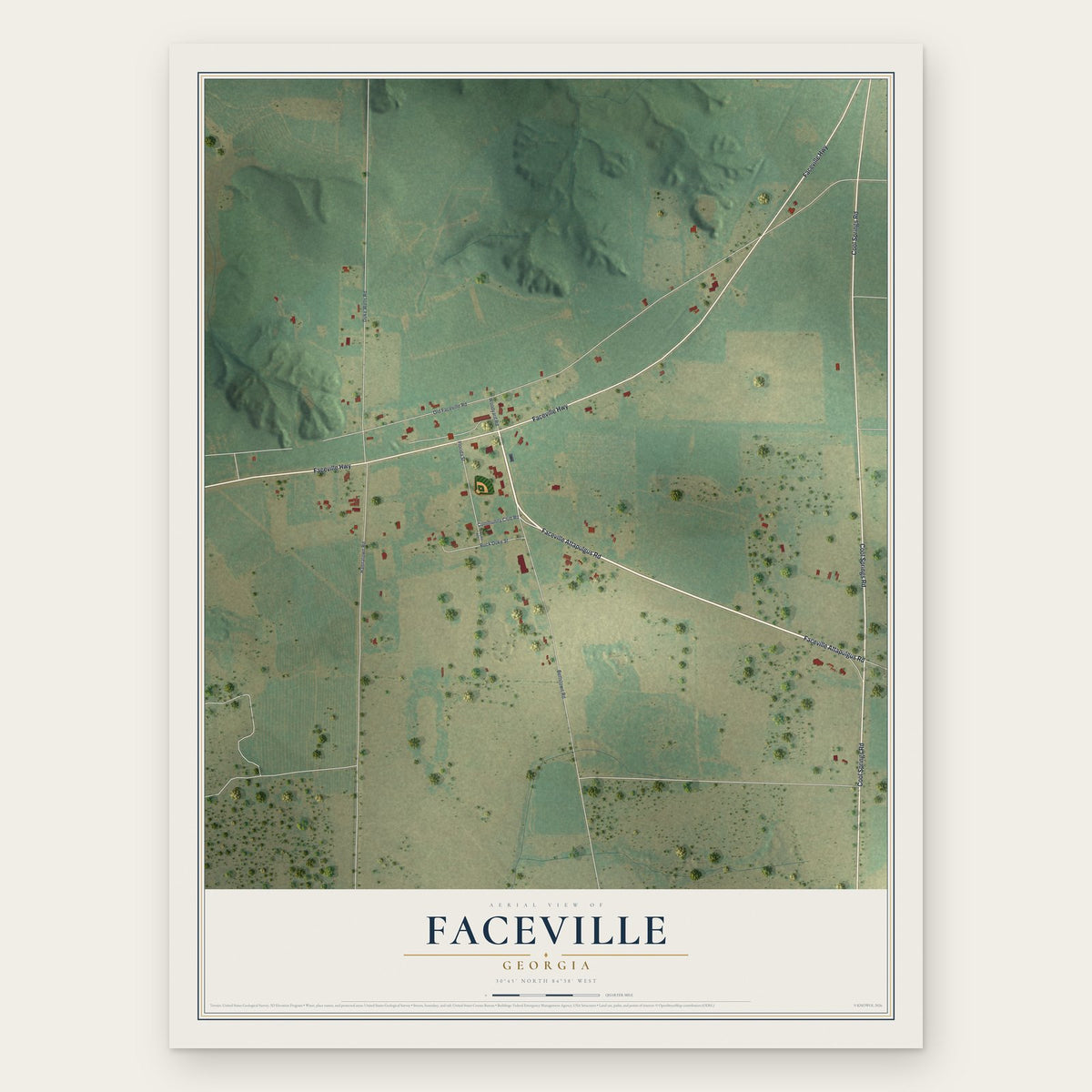 Faceville, Georgia map print, the full design