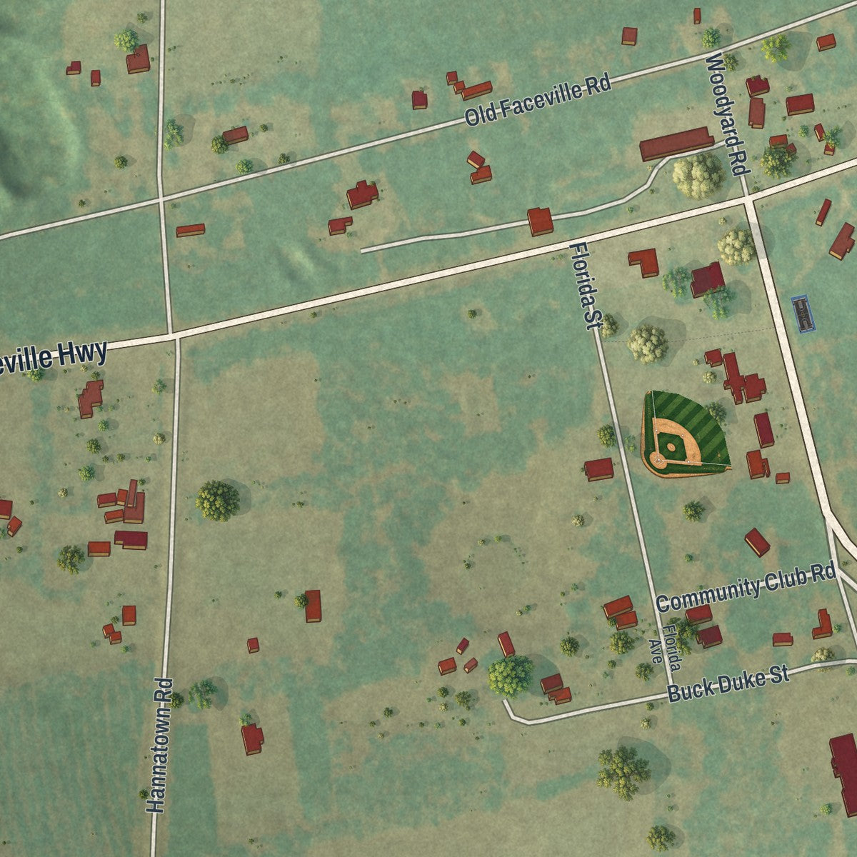 Close-up of the map of Faceville, Georgia print showing street and building detail