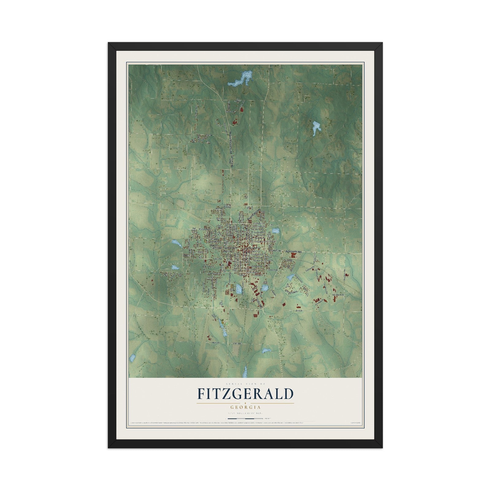 Fitzgerald, Georgia map print, 12" x 18" W/ Black Ayous Wood Frame mockup