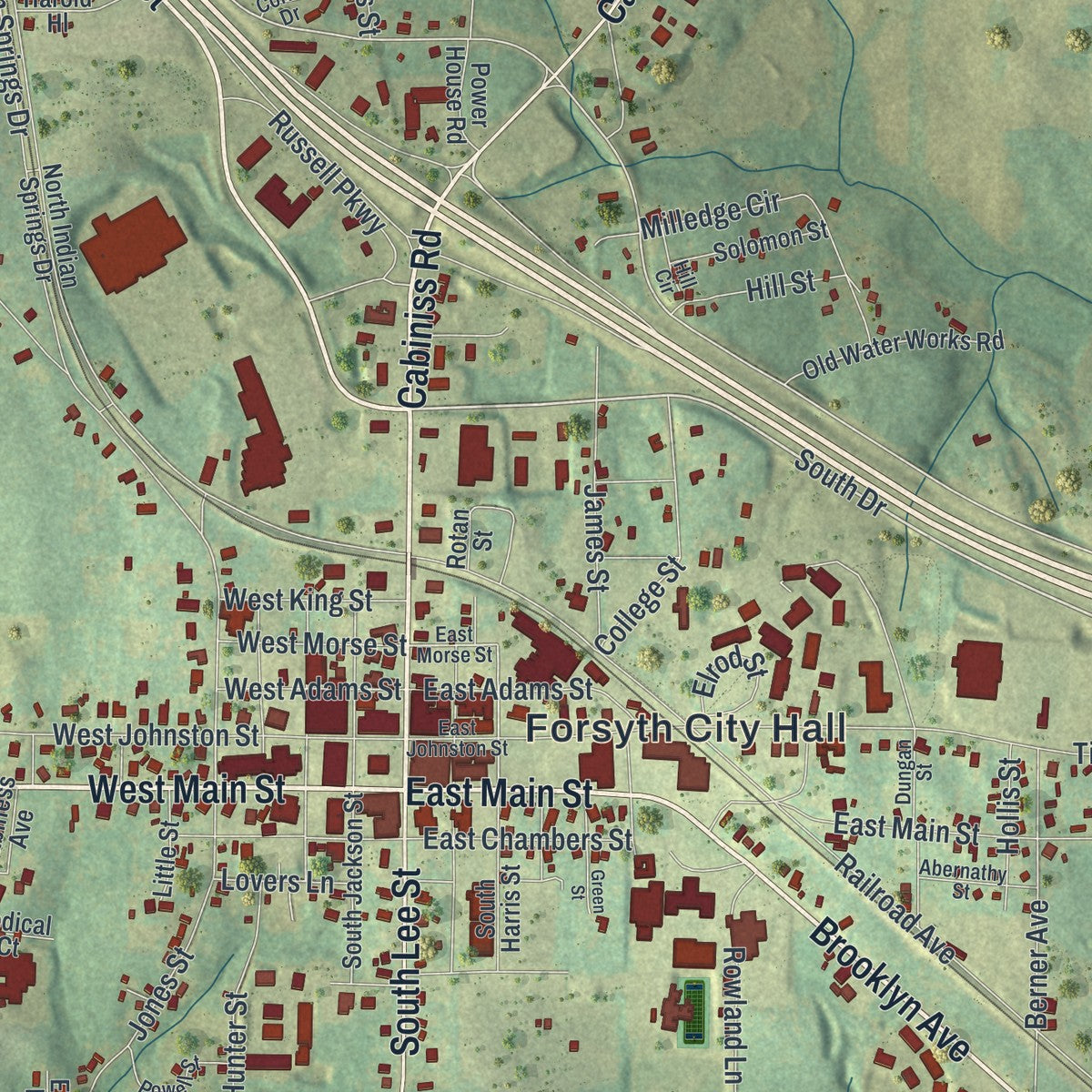 Close-up 1 of the Forsyth, Georgia map artwork
