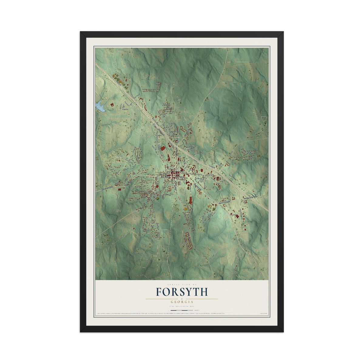 Forsyth, Georgia map print, 12" x 18" W/ Black Ayous Wood Frame mockup