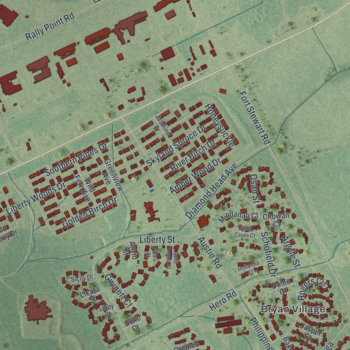 Close-up 1 of the Fort Stewart, Georgia map artwork