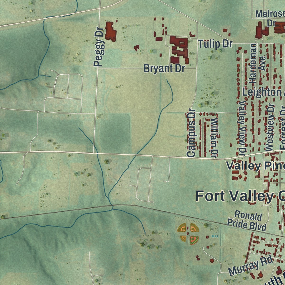 Close-up 2 of the Fort Valley, Georgia map artwork