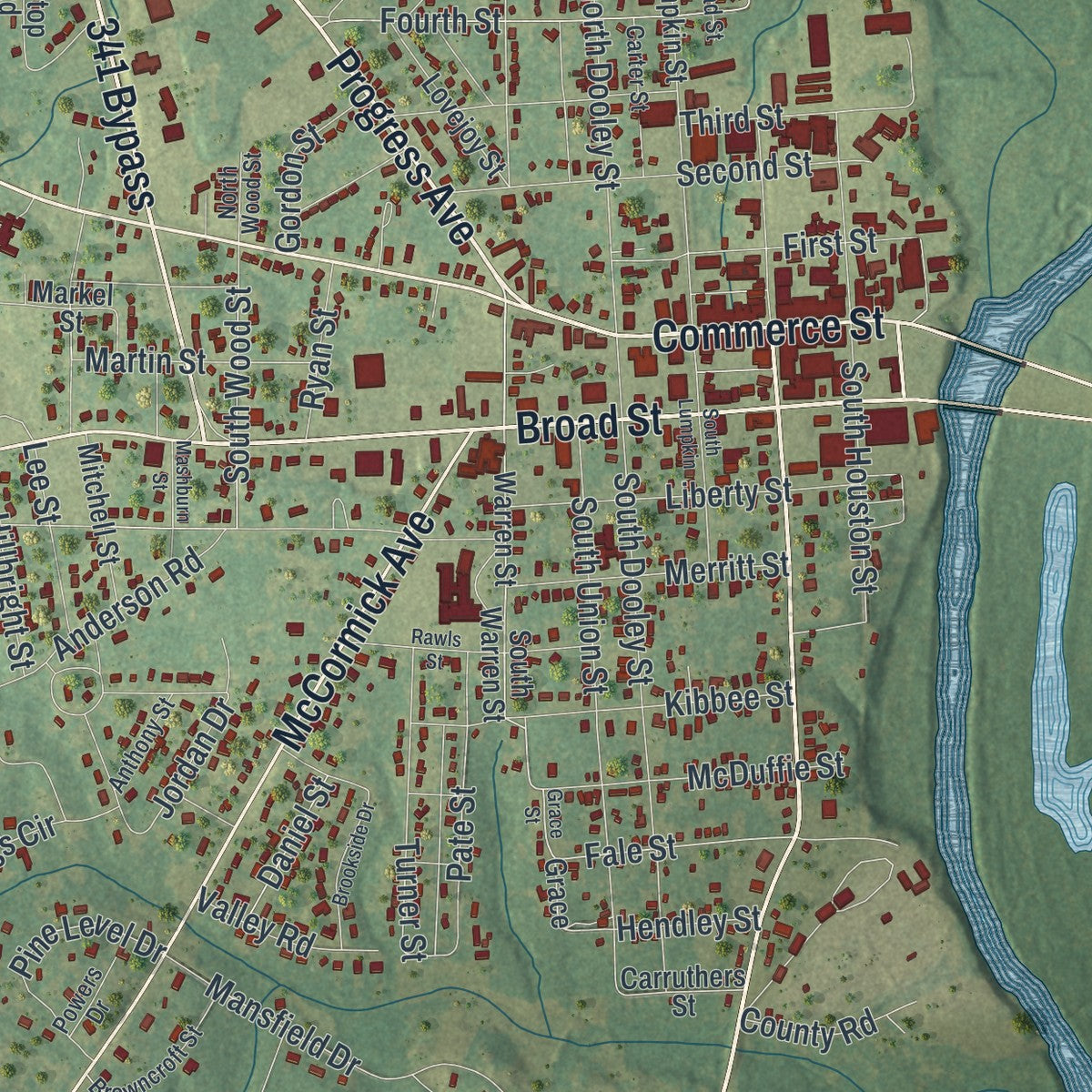 Close-up 1 of the Hawkinsville, Georgia map artwork