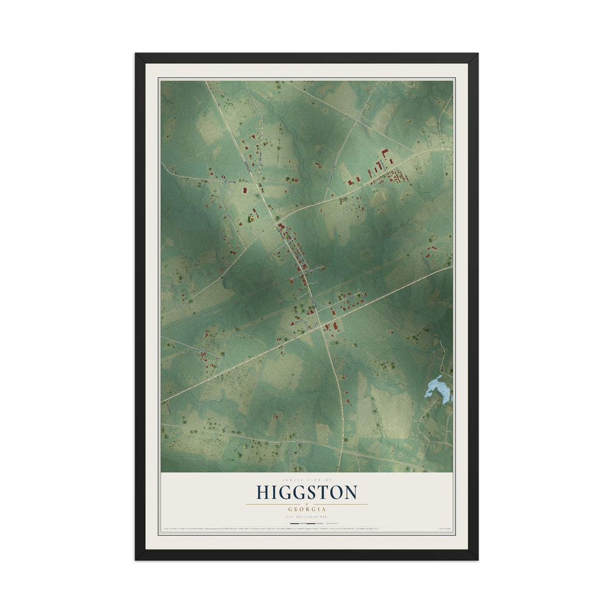 Higgston, Georgia map print, 12" x 18" W/ Black Ayous Wood Frame mockup