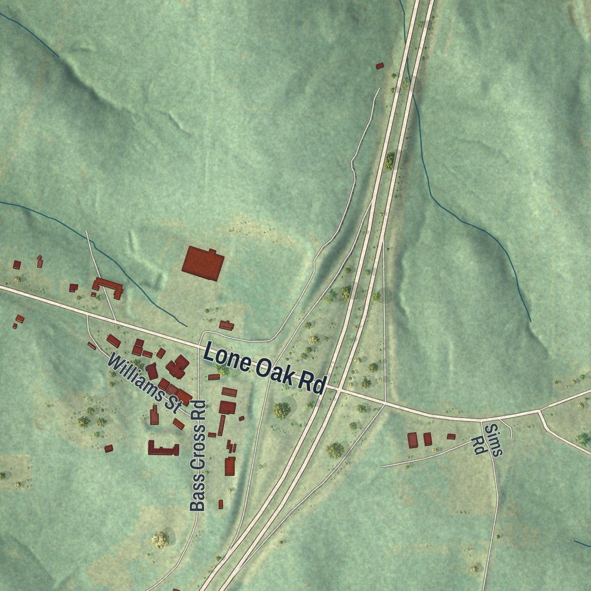 Close-up 2 of the Hogansville, Georgia map artwork