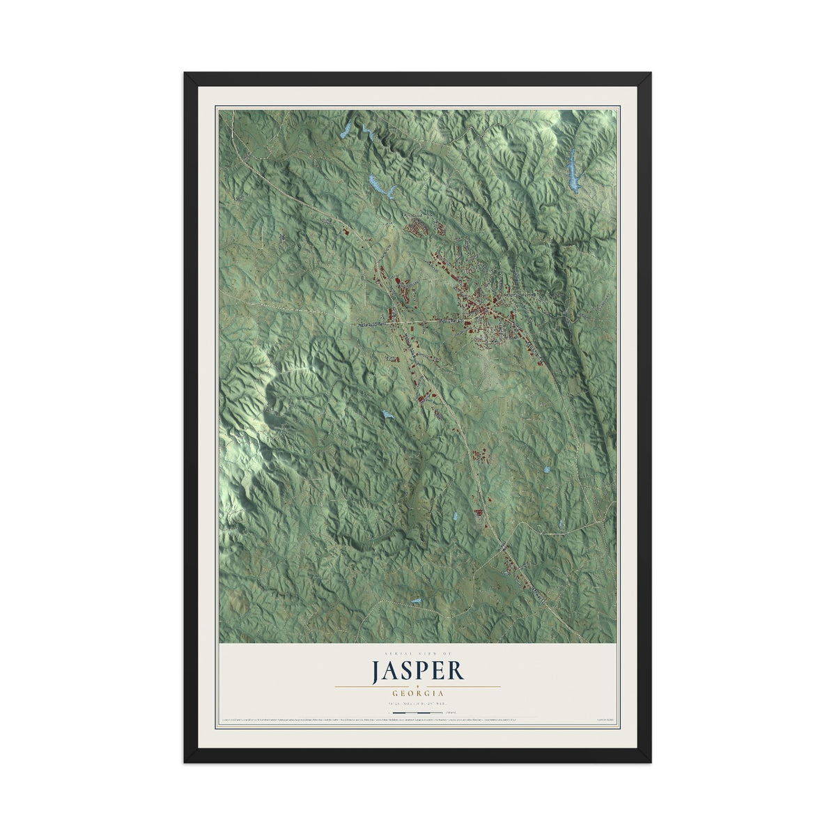 Jasper, Georgia map print, 12" x 18" W/ Black Ayous Wood Frame mockup