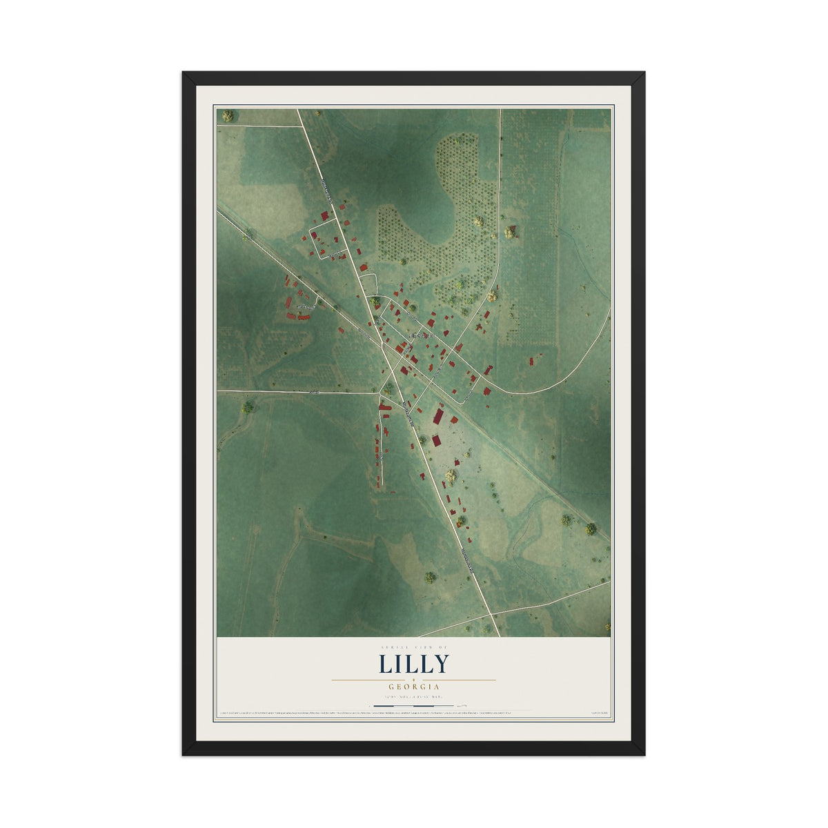 Lilly, Georgia map print, 12" x 18" W/ Black Ayous Wood Frame mockup