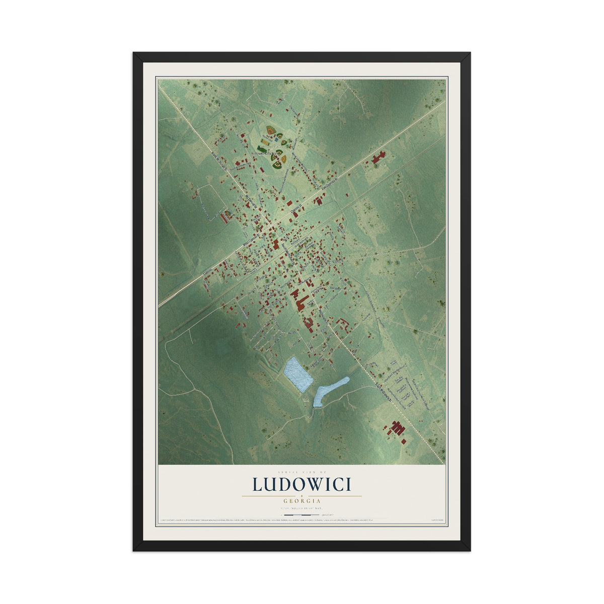 Ludowici, Georgia map print, 12" x 18" W/ Black Ayous Wood Frame mockup