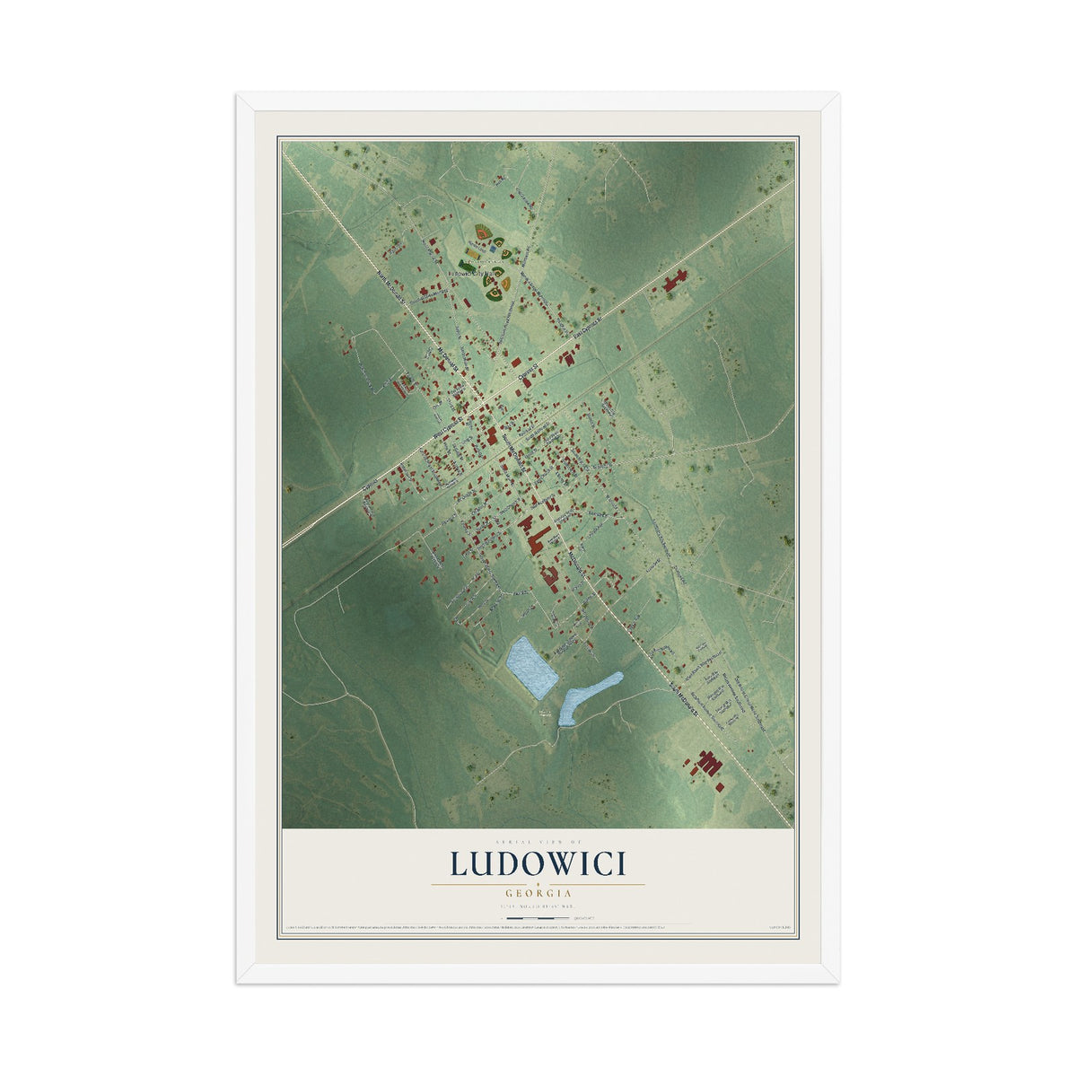 Ludowici, Georgia map print, 12" x 18" W/ White Ayous Wood Frame mockup