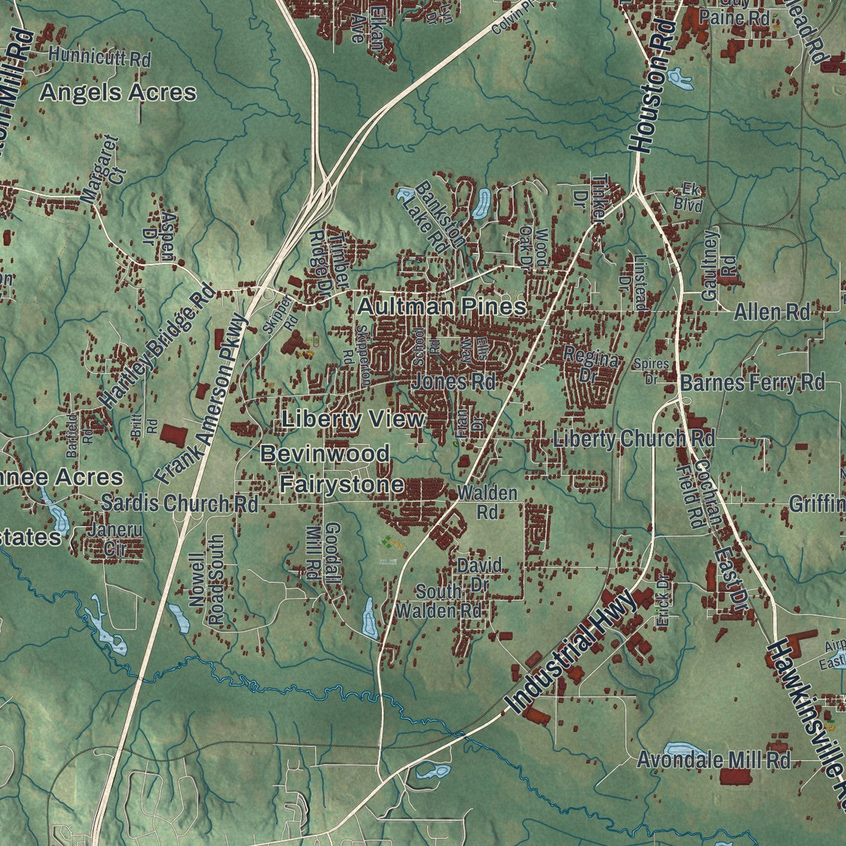 Close-up 2 of the Macon-Bibb County, Georgia map artwork