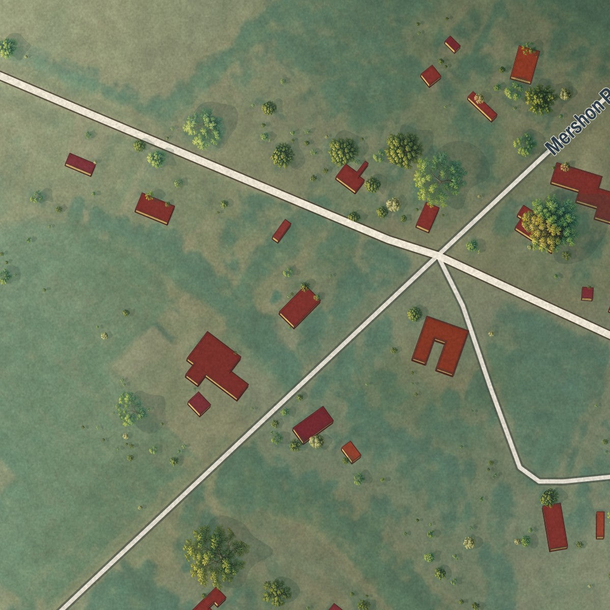 Close-up of the map of Mershon, Georgia print showing street and building detail
