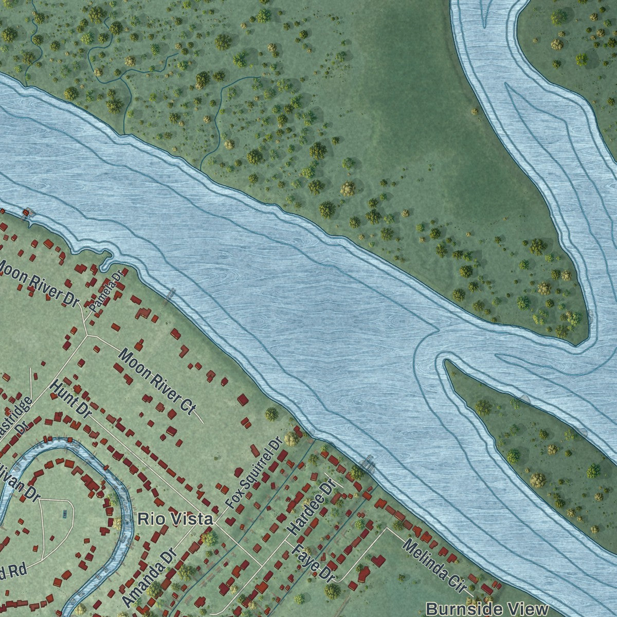 Close-up of the map of Montgomery, Georgia print showing street and building detail