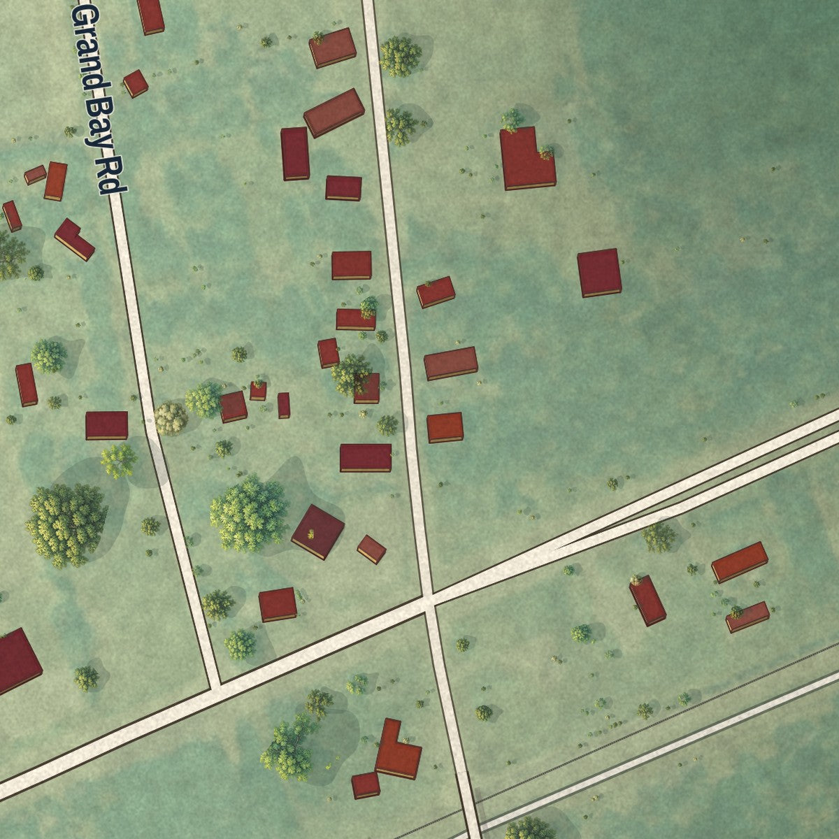 Close-up of the map of Naylor, Georgia print showing street and building detail