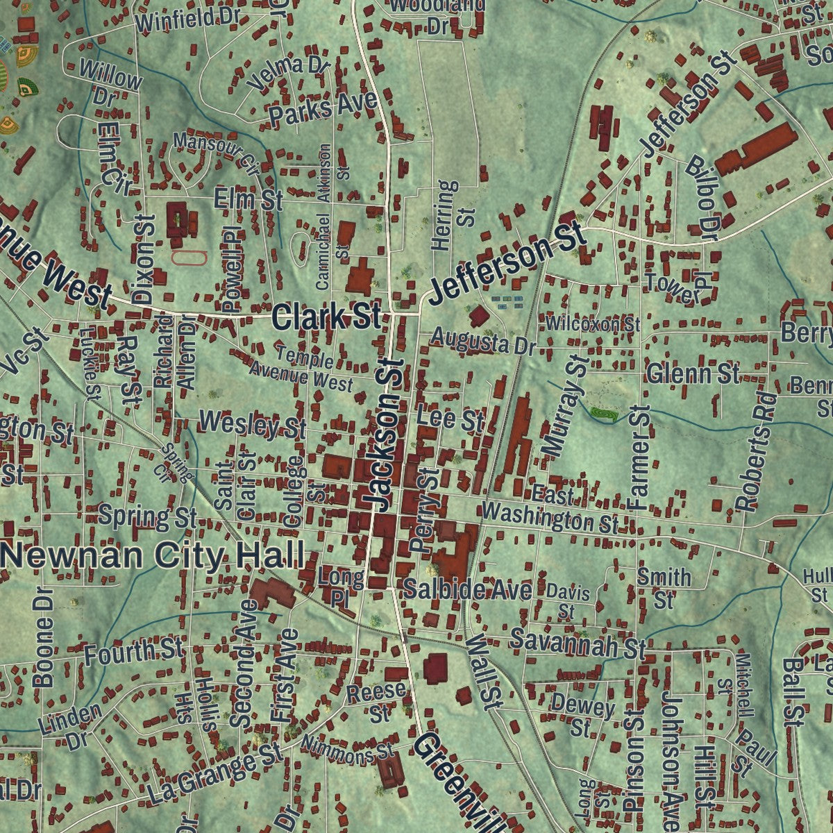 Close-up 1 of the Newnan, Georgia map artwork