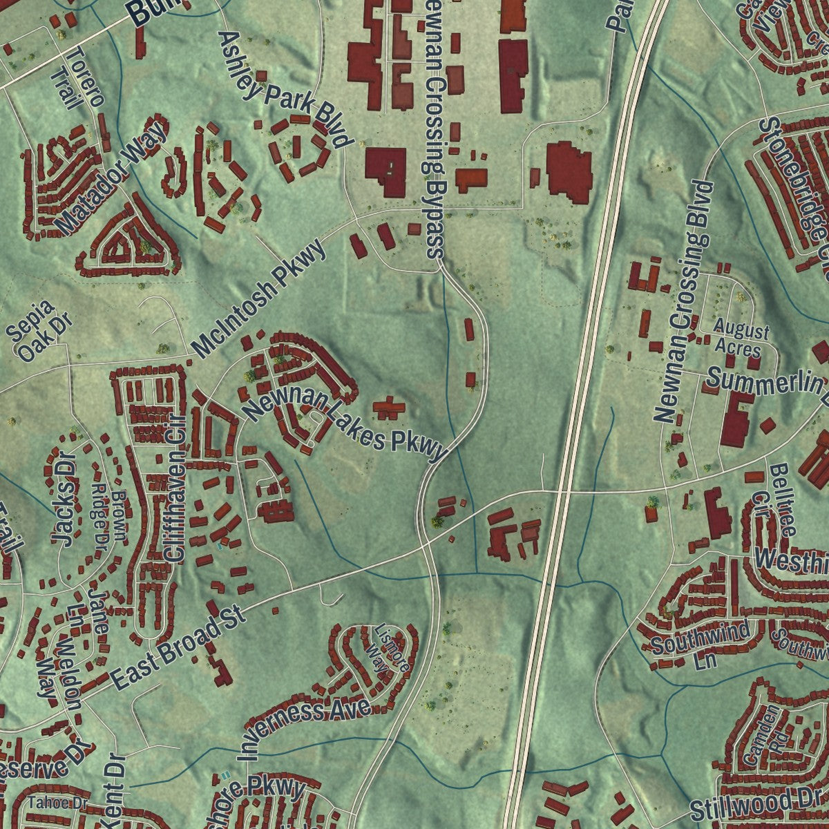 Close-up 2 of the Newnan, Georgia map artwork
