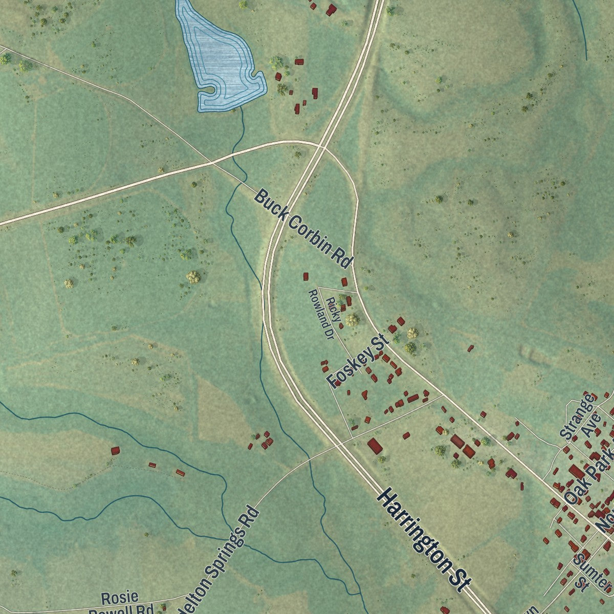 Close-up 1 of the Oak Park, Georgia map artwork