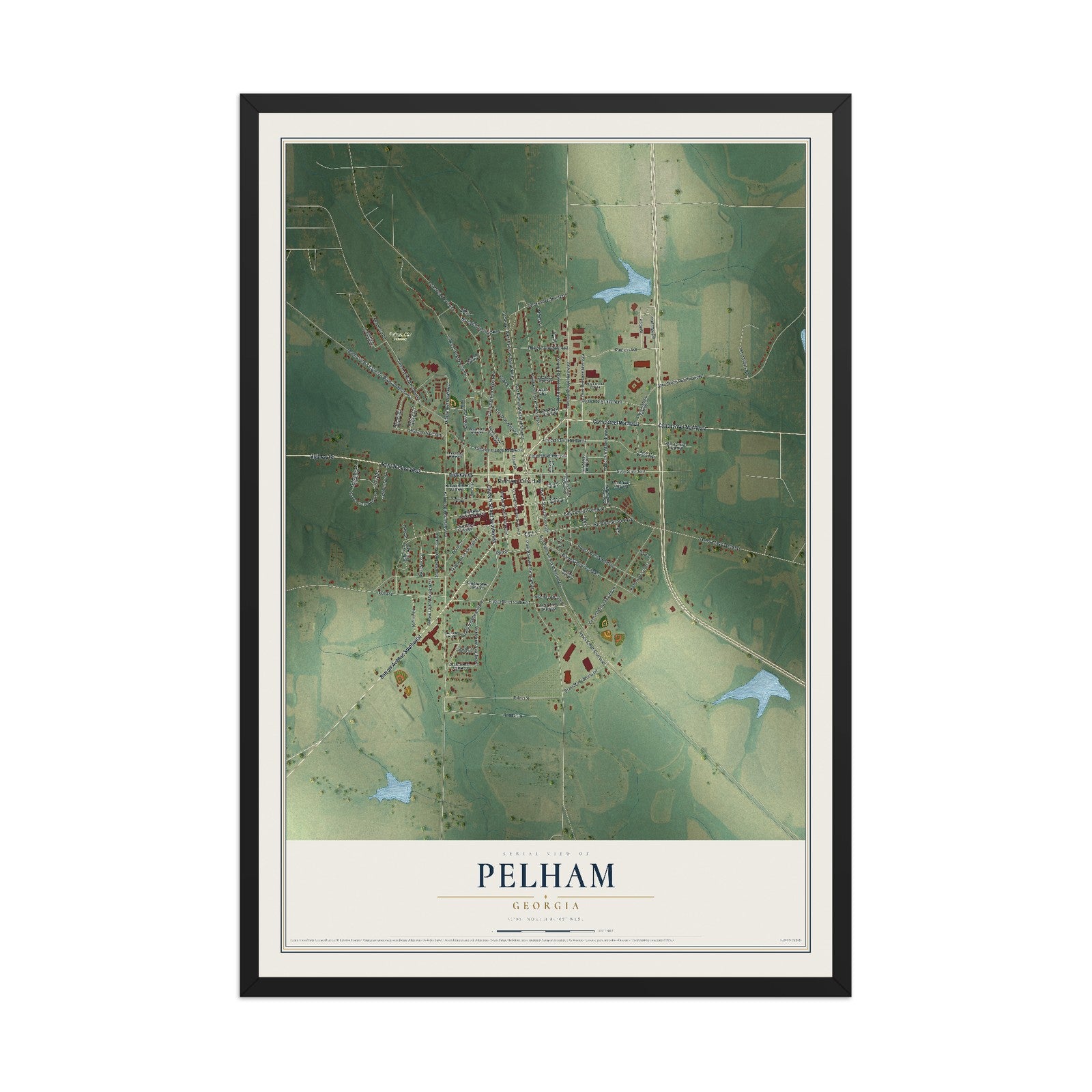 Pelham, Georgia map print, 12" x 18" W/ Black Ayous Wood Frame mockup