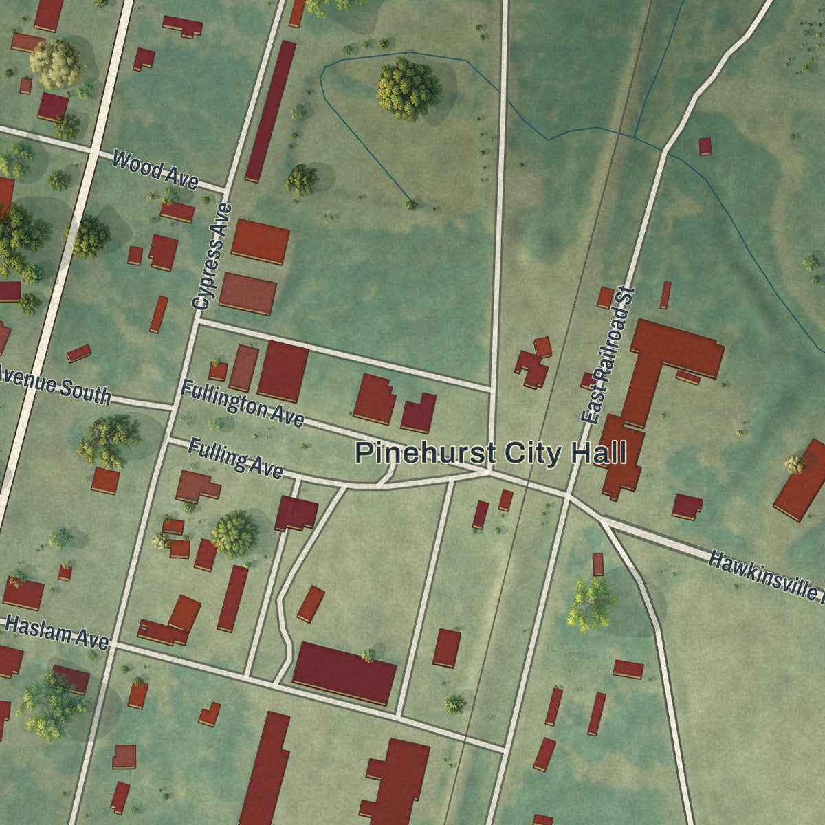 Close-up 1 of the Pinehurst, Georgia map artwork