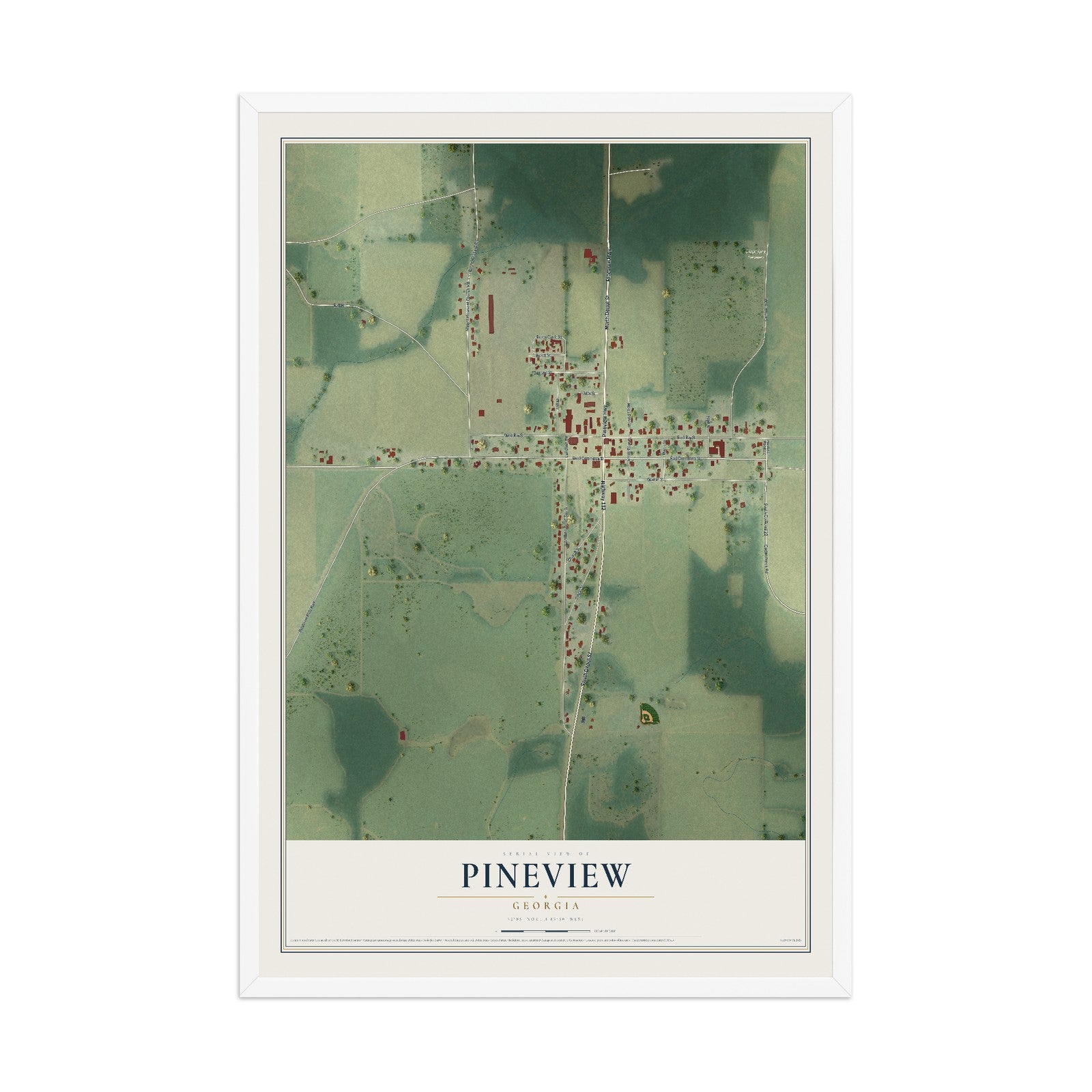 Pineview, Georgia map print, 12" x 18" W/ White Ayous Wood Frame mockup