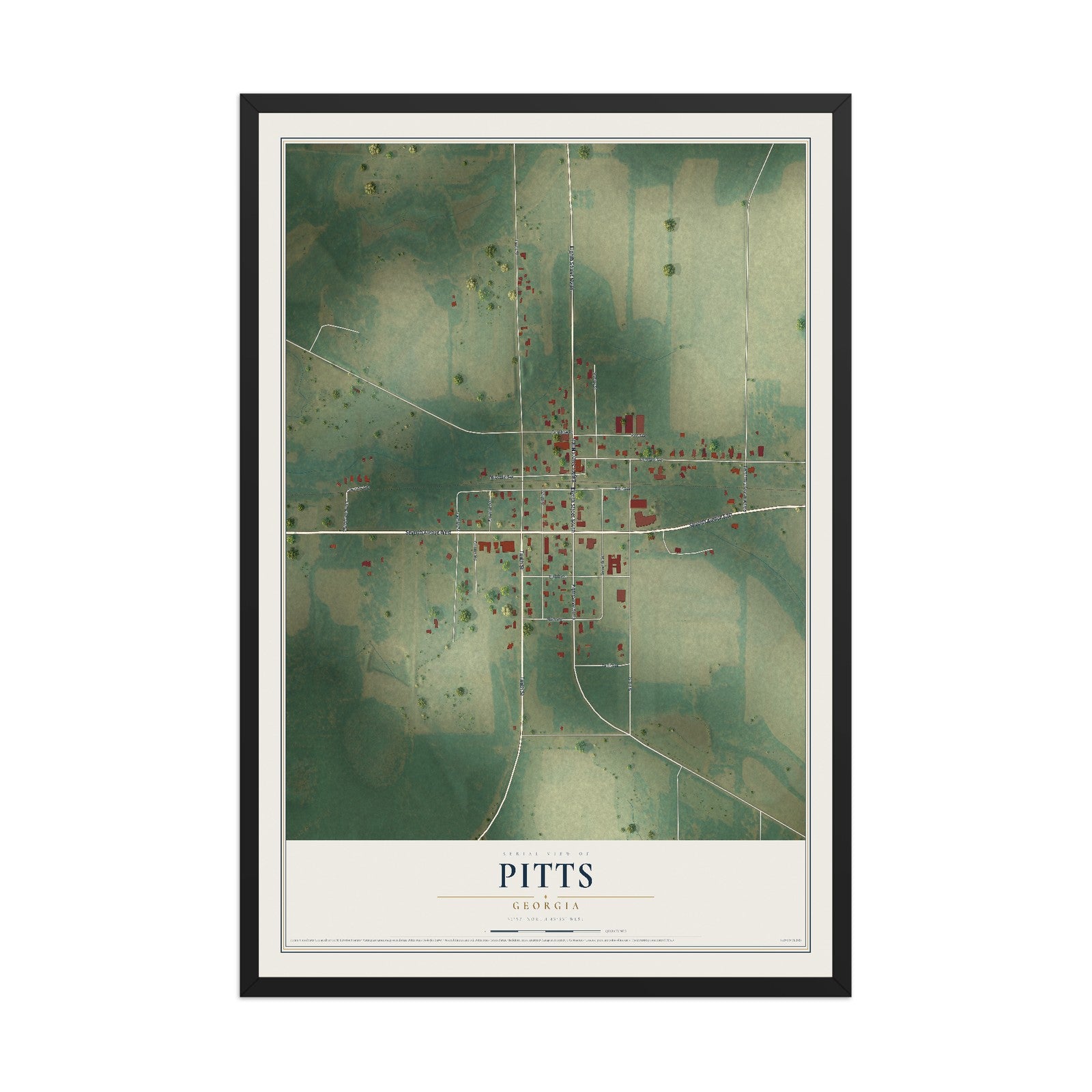 Pitts, Georgia map print, 12" x 18" W/ Black Ayous Wood Frame mockup
