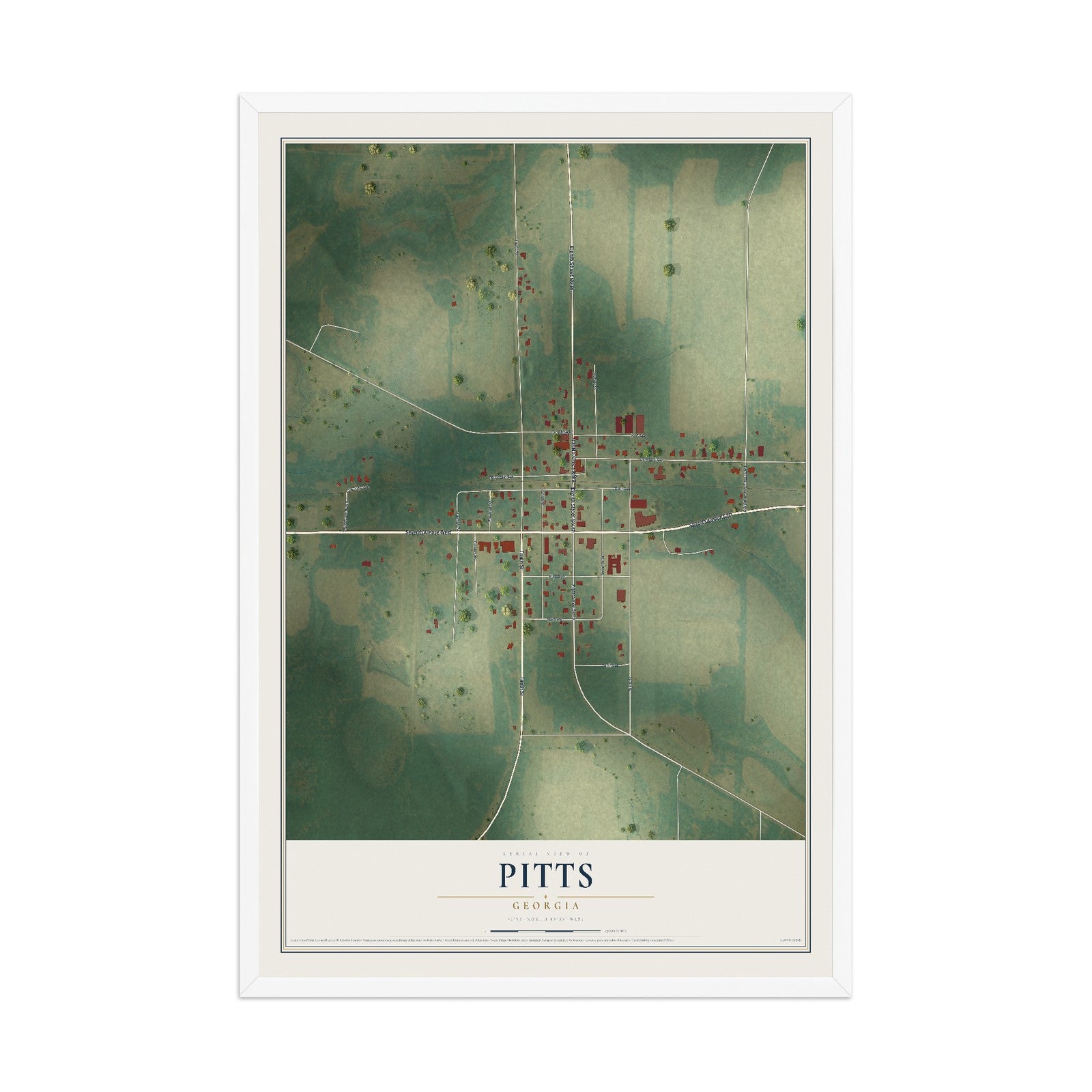 Pitts, Georgia map print, 12" x 18" W/ White Ayous Wood Frame mockup
