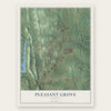 Pleasant Grove, Georgia map print, the full design