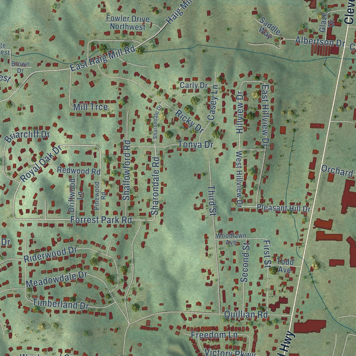 Close-up of the map of Pleasant Grove, Georgia print showing street and building detail