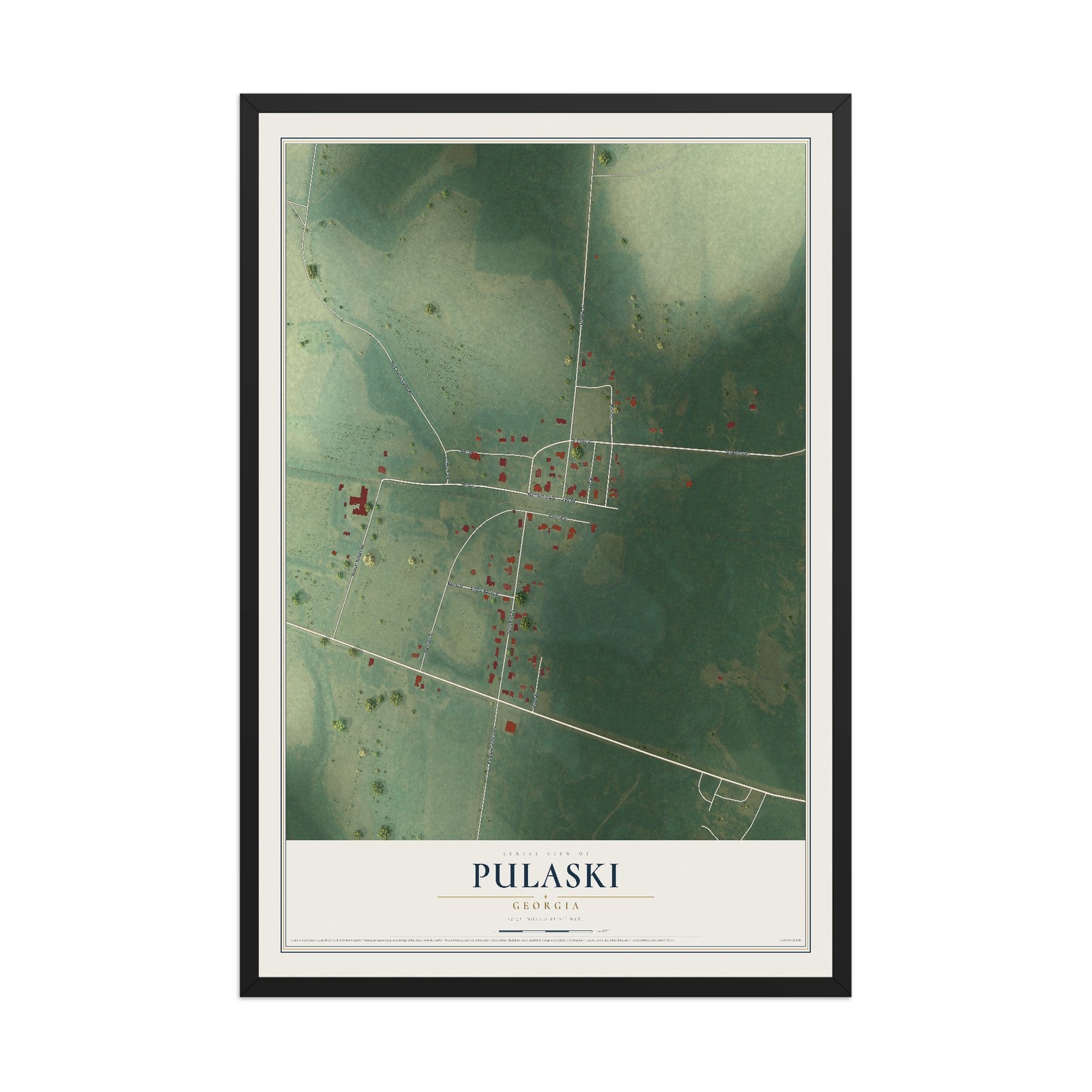 Pulaski, Georgia map print, 12" x 18" W/ Black Ayous Wood Frame mockup