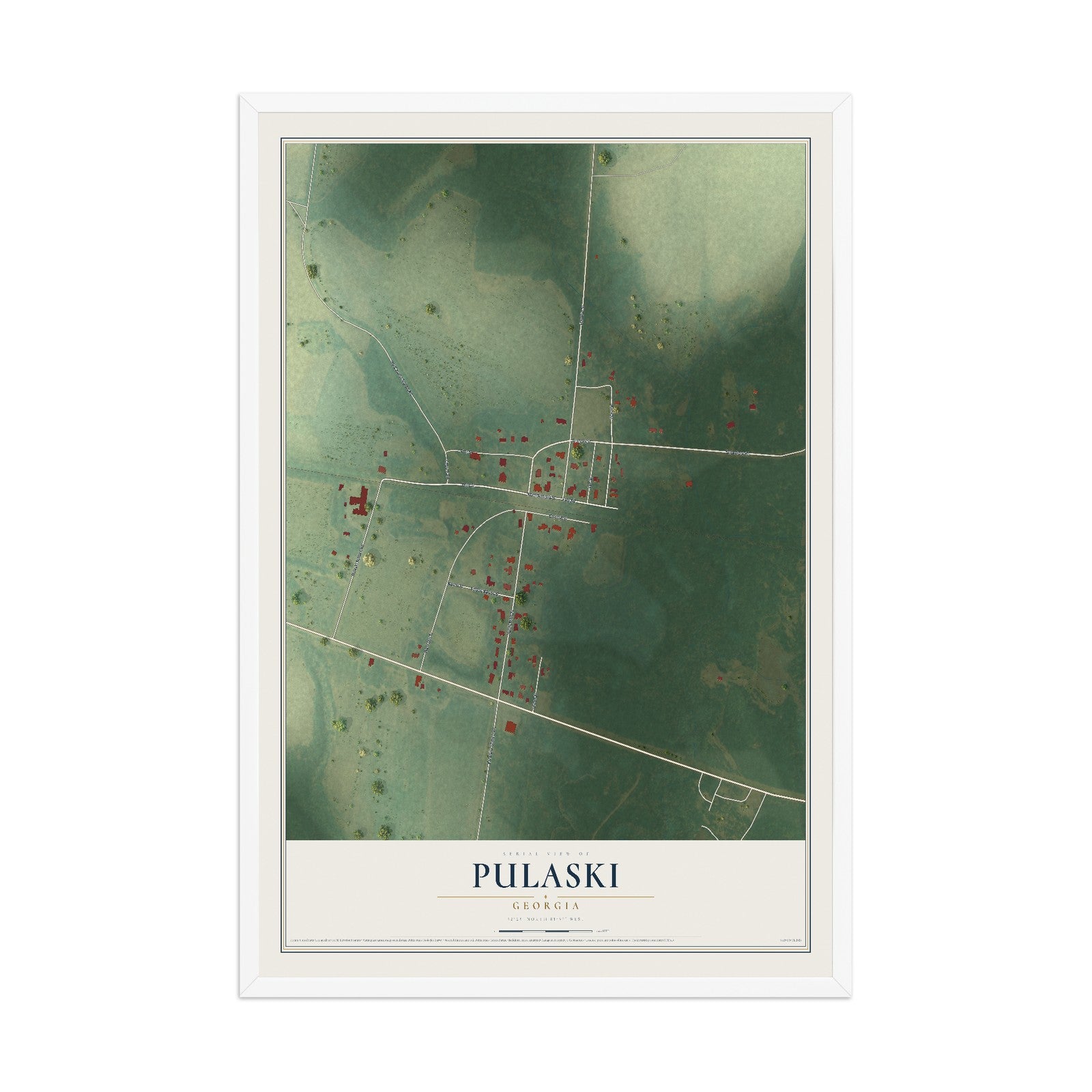Pulaski, Georgia map print, 12" x 18" W/ White Ayous Wood Frame mockup