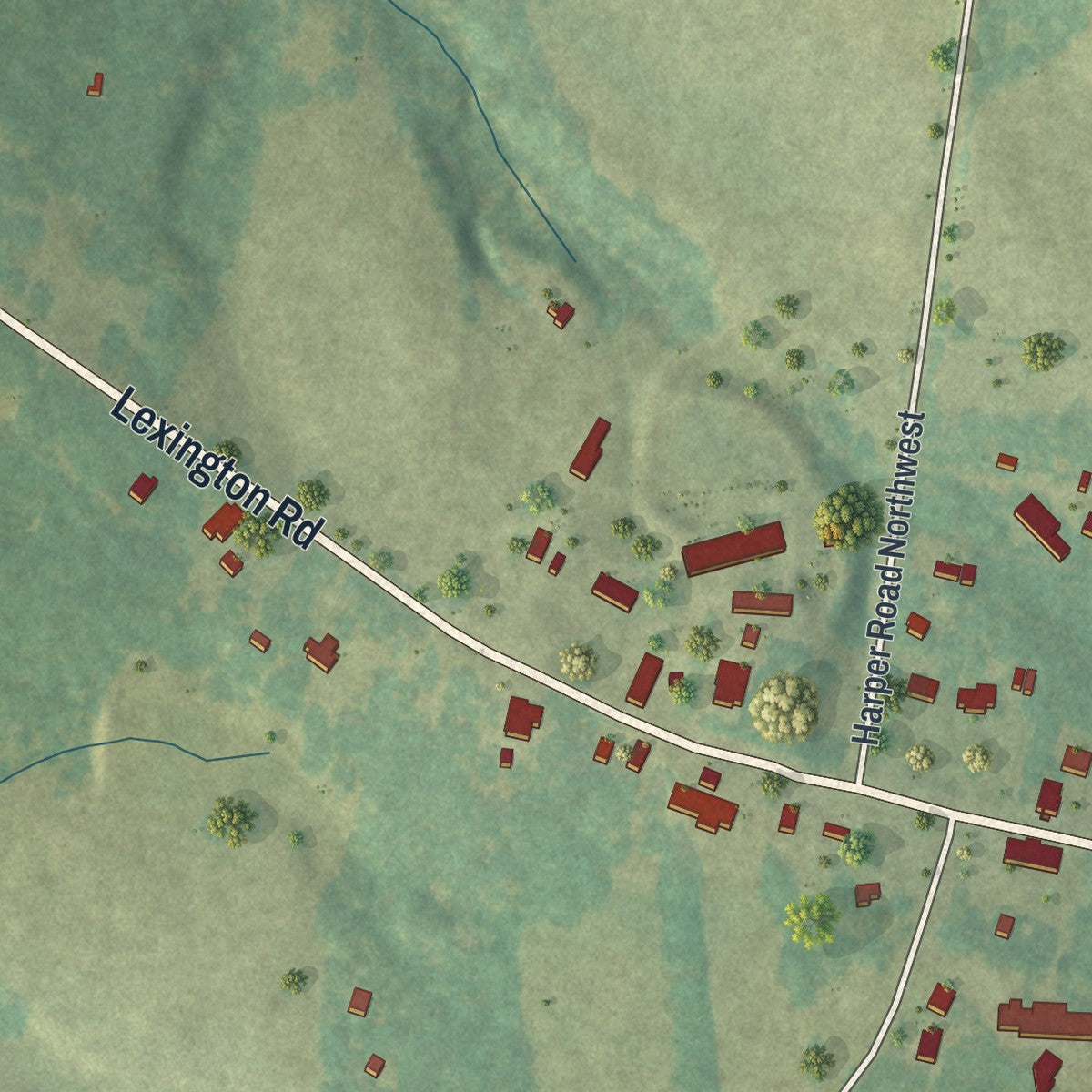 Close-up 1 of the Rayle, Georgia map artwork